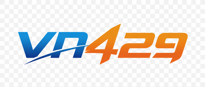 VN429 Logo